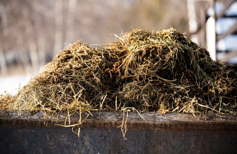 Use manure