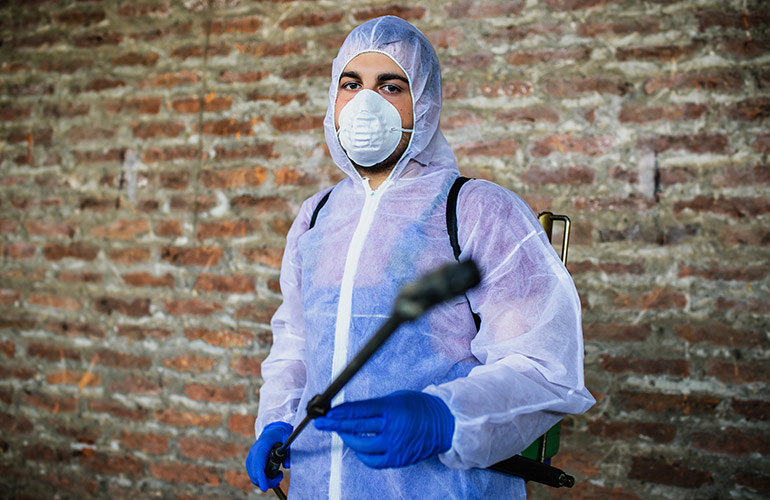 14 exterminator nightmares that will make you cringe
