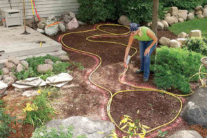 10 Gardening Tips, Handyman Magazine, Blog
