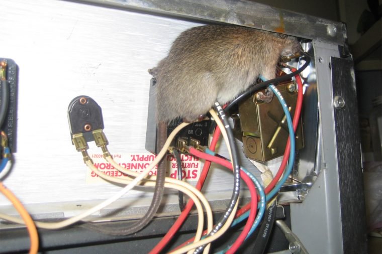 Watch out for that wire