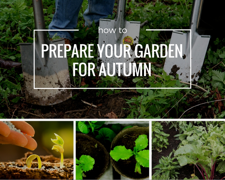 Prepare The Garden For Autumn Australian Handyman Magazine