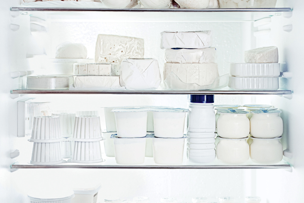 fridge shelves with cheese, yogurt and milk, How to maintain your refrigerator,