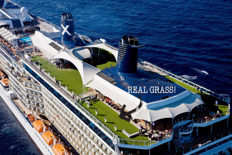 6 Tips For Maintaining A Healthy Lawn At Sea