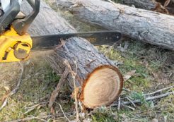 DIY Basics: Essential guide to chainsaws