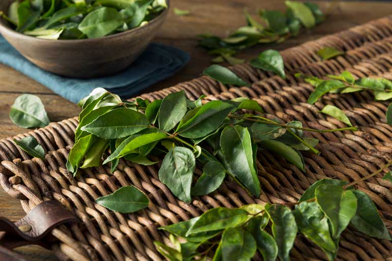 4. Curry leaves