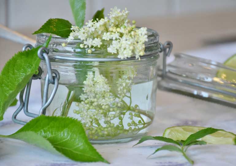 5 Ways To Make Cut Flowers Last Australian Handyman Magazine