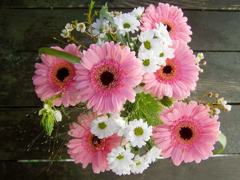 12. Fresh cut flowers 