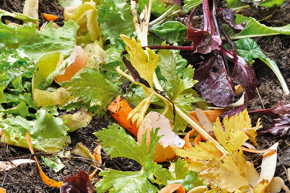 5 Composting Tips And Tricks