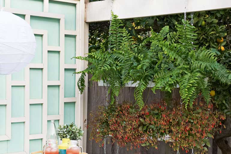 11. DIY Hanging Garden 