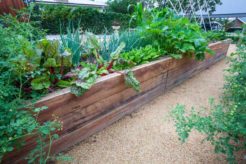 10 Tips For A Healthy Garden - iStock