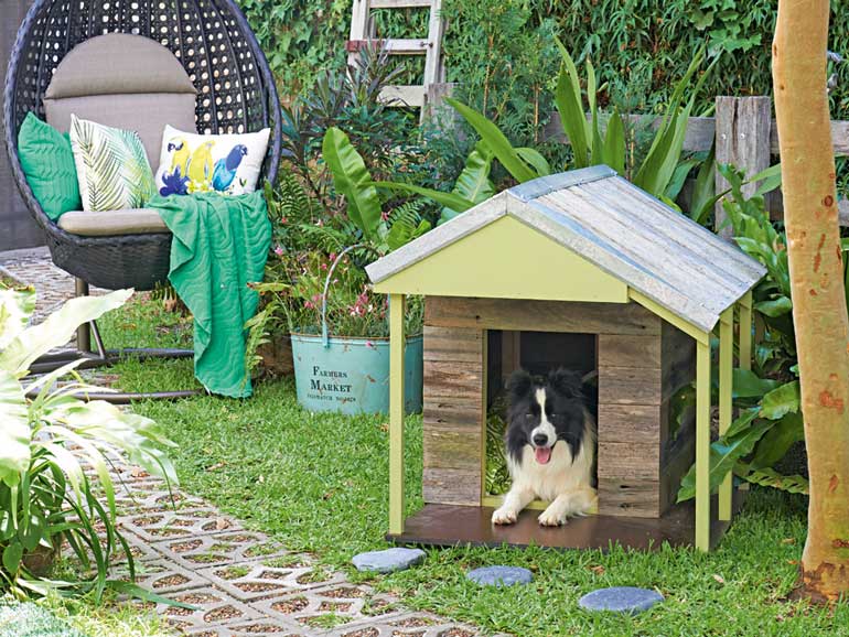 1. Luxury Dog House 