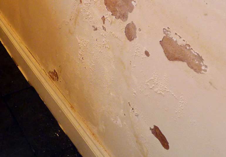 Get Rid Of Mould Australian Handyman Magazine