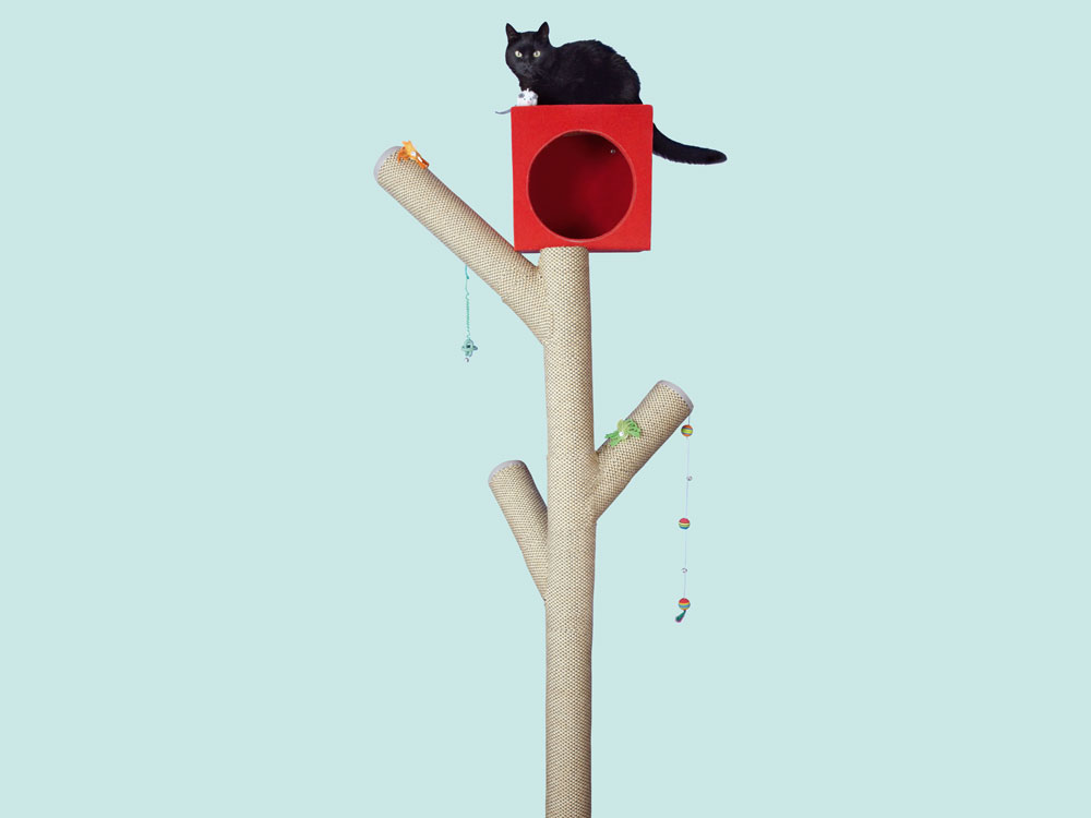 Make A Cat Climbing Tree
