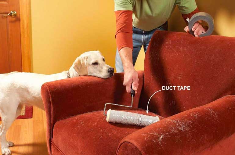 7. Remove Pet Hair with Duct Tape