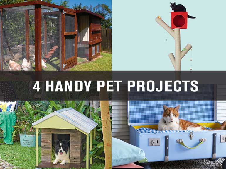 4 Handy Pet Projects
