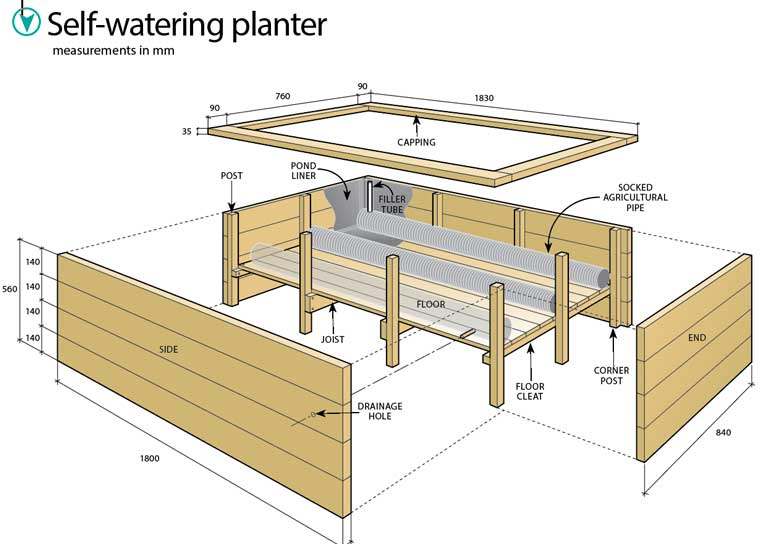 Build a SelfWatering Timber Planter in 9 Steps Australian Handyman
