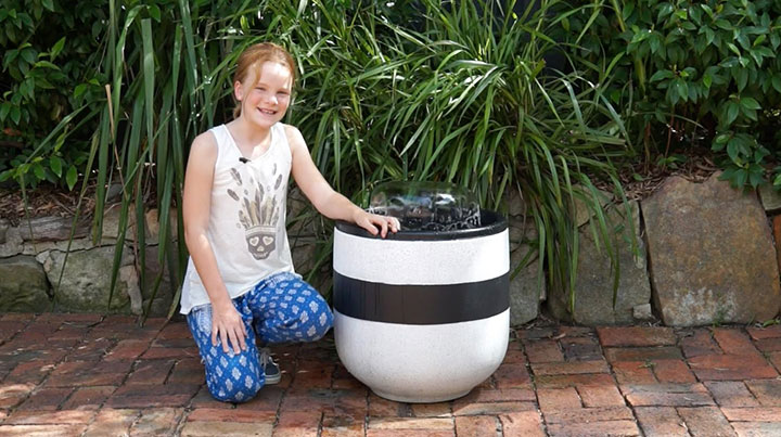 pond in a pot