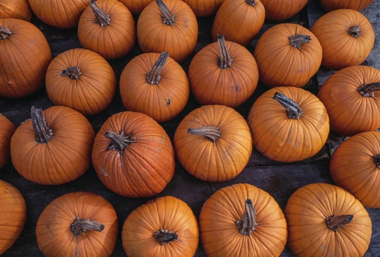 Pumpkins
