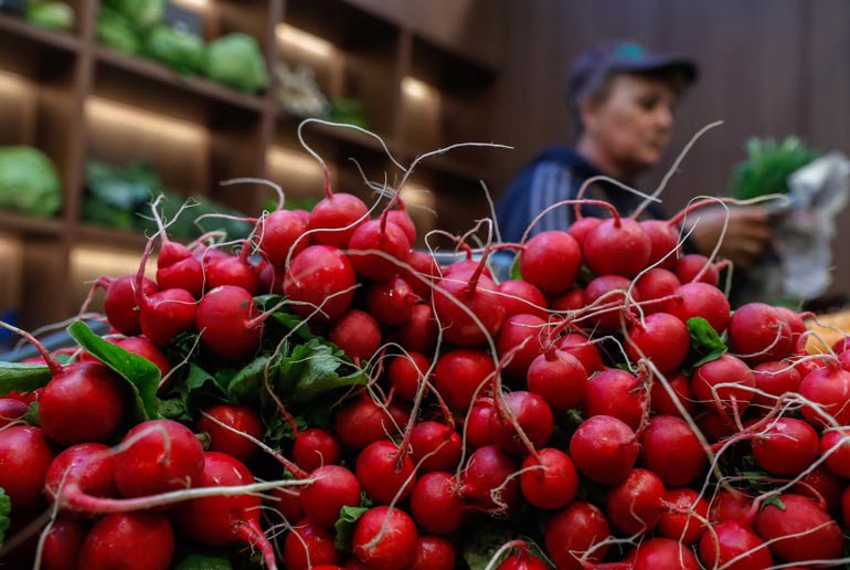 Radishes