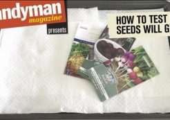 Check Old Seeds Will Sprout