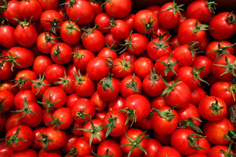 Tomatoes