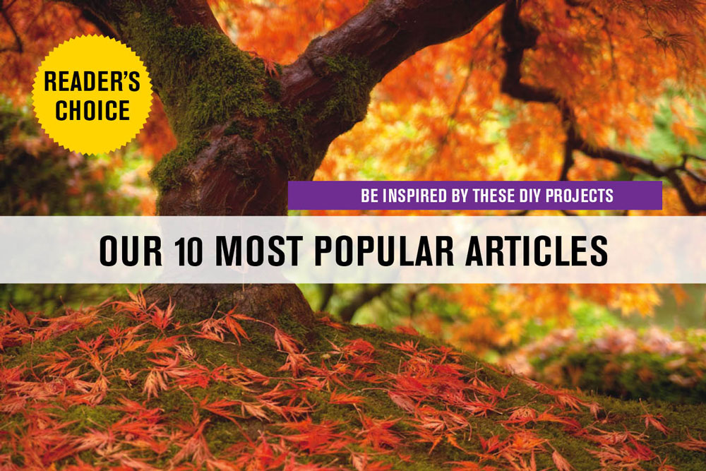 Our 10 Most Popular Articles