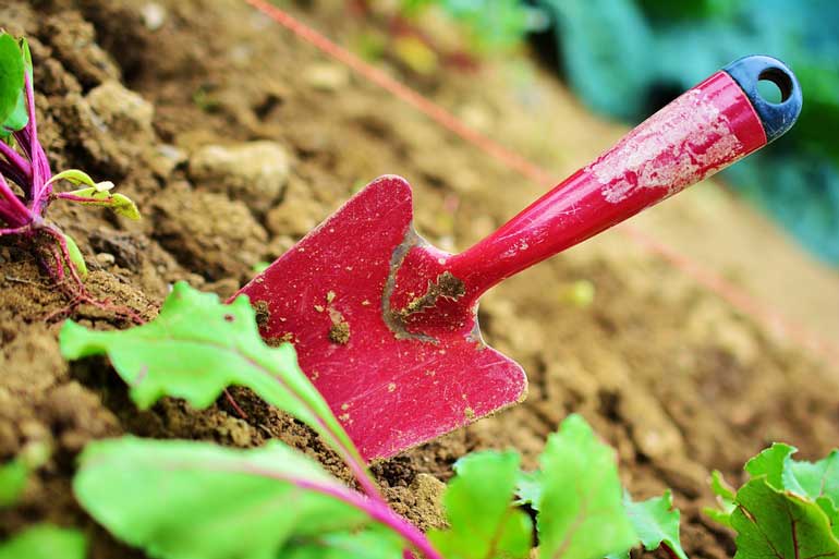 10. Gardening gear 