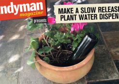 Turn A Wine Bottle Into A Self Watering System