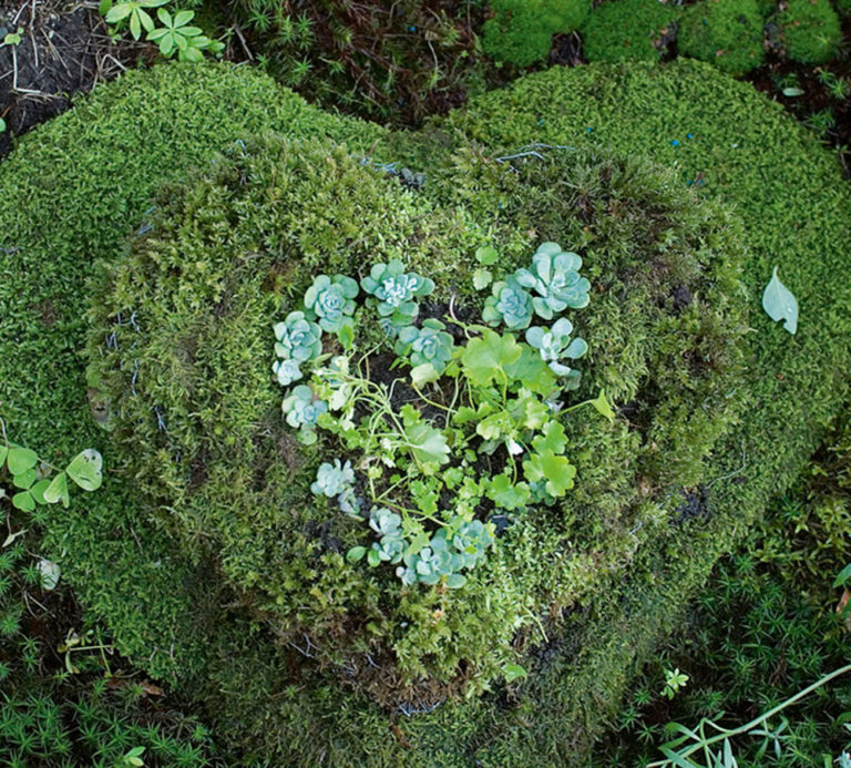 Make A Moss Planter Australian Handyman Magazine