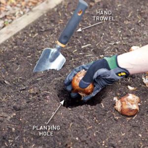 Step 3. Use a hand trowel