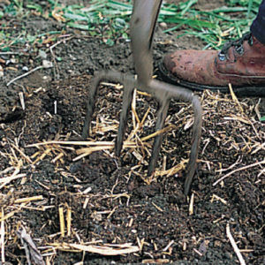 Step 2. Dig in manure