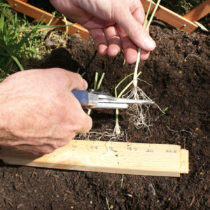Step 2. Make a trough