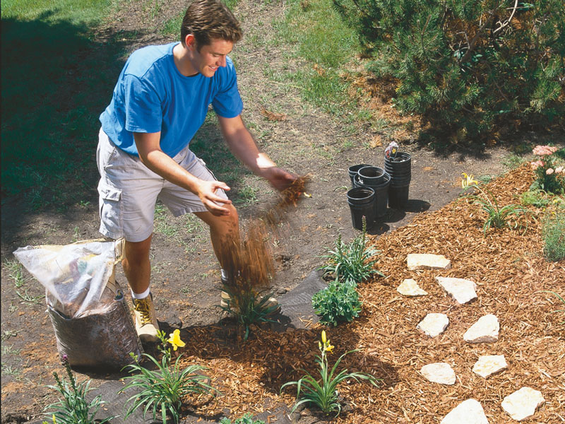 Plant A Perennial Garden