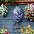  Create A Hanging Basket Display 