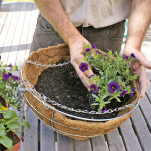 Step 1. Add the plants