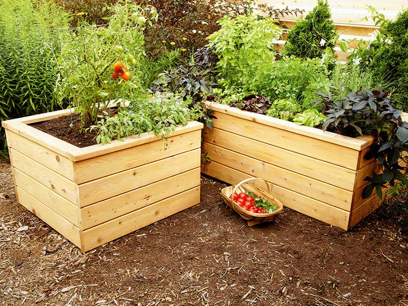 Self Watering Timber Garden Planter, How To Prepare A Wooden Box For Planting
