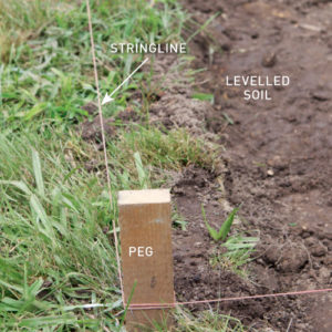 Step 2. Set the stringline 