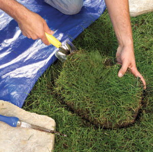 Step 2. Dig the hole