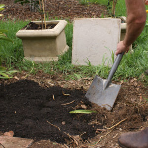Step 2. Add soil