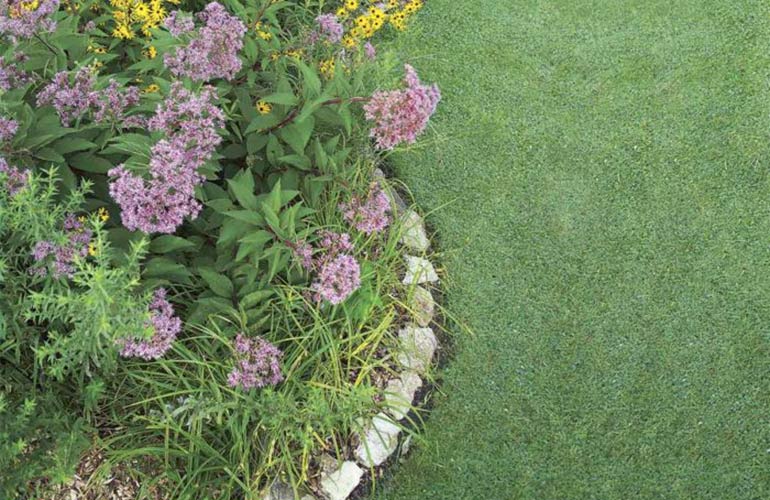 Improve drainage in your yard