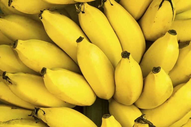 5 extraordinary uses for bananas Australian Handyman Magazine