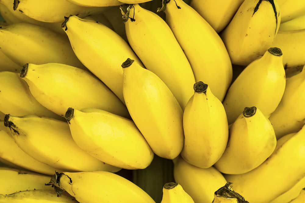 5 extraordinary uses for bananas - Australian Handyman Magazine