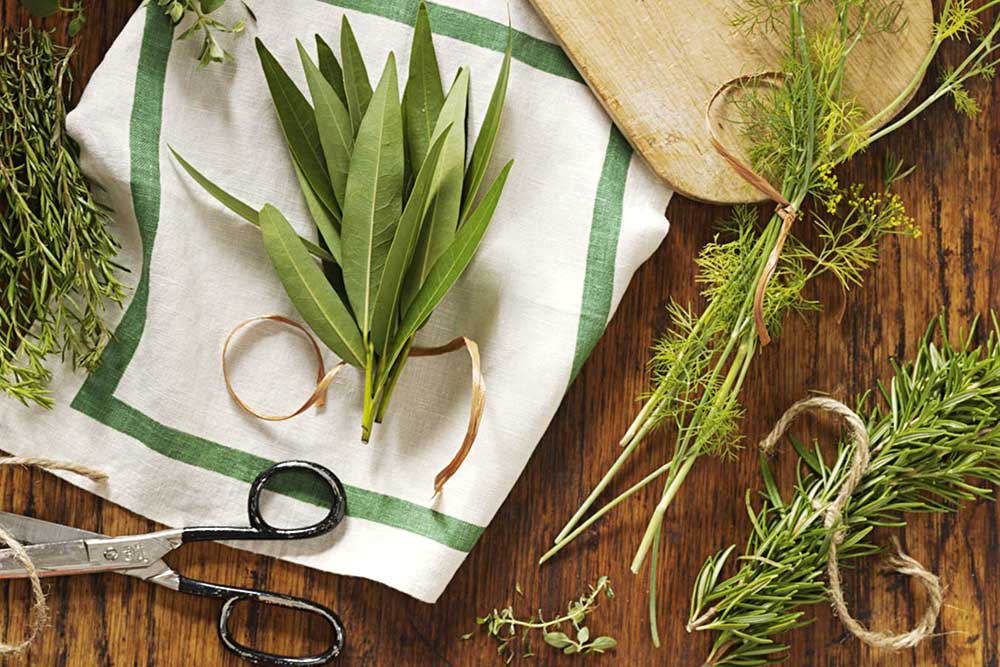 How to preserve herbs Australian Handyman Magazine