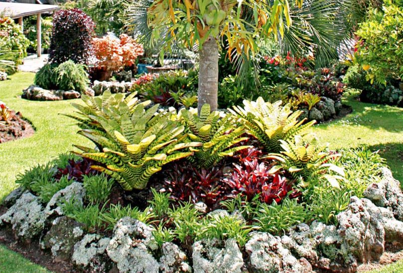 How To Plan A Tropical Garden Australian Handyman Magazine