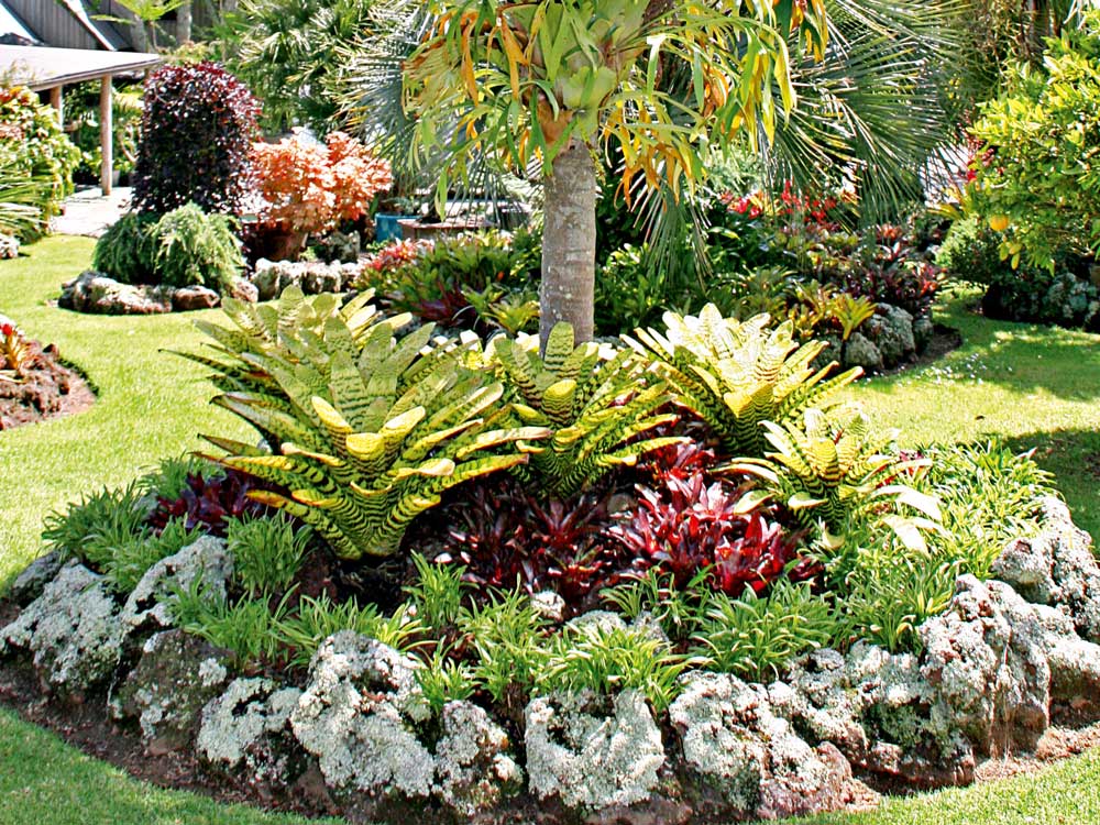 How To Plan A Tropical Garden, Tropical Landscaping Ideas For Backyard