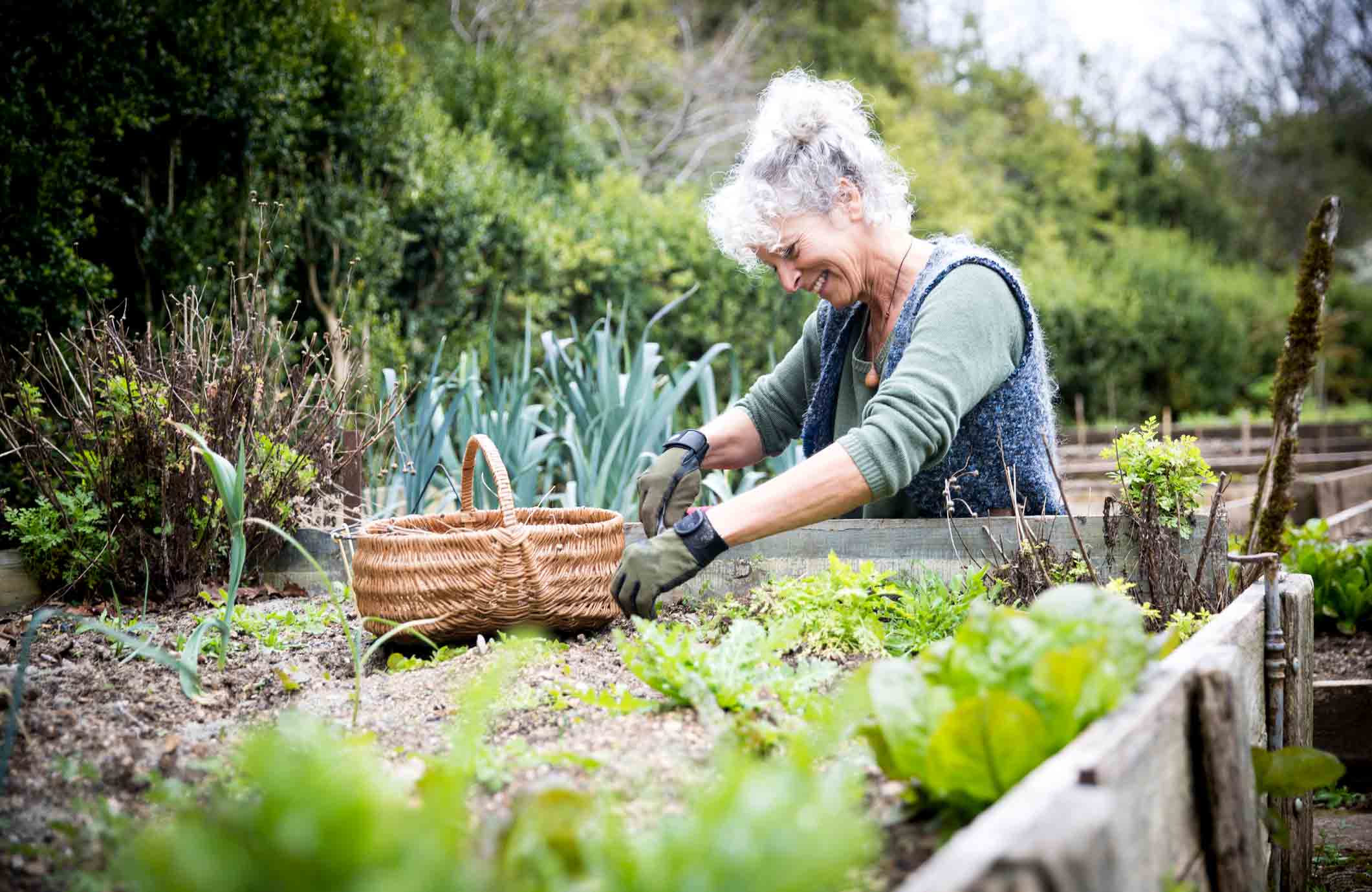 Is sustainable gardening the same as organic gardening?