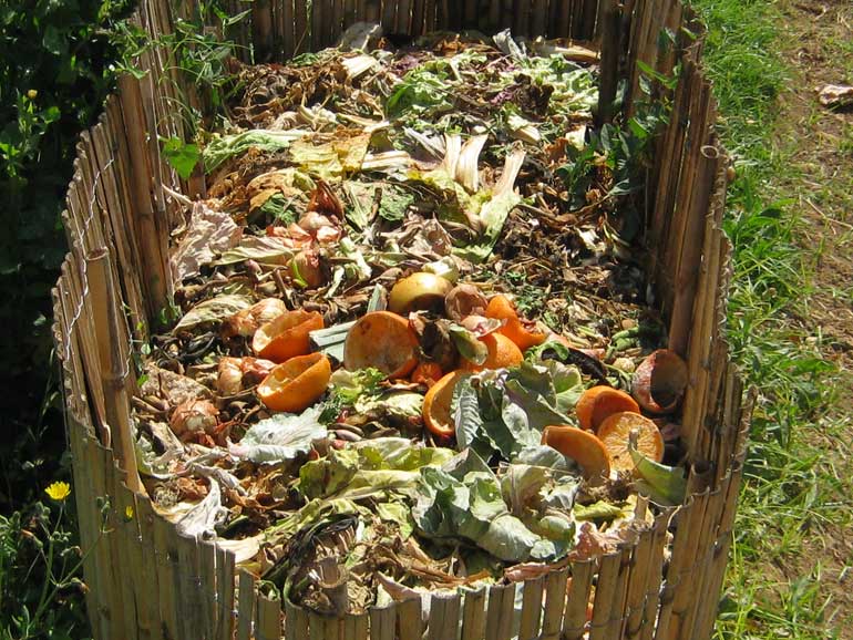 What can you compost?