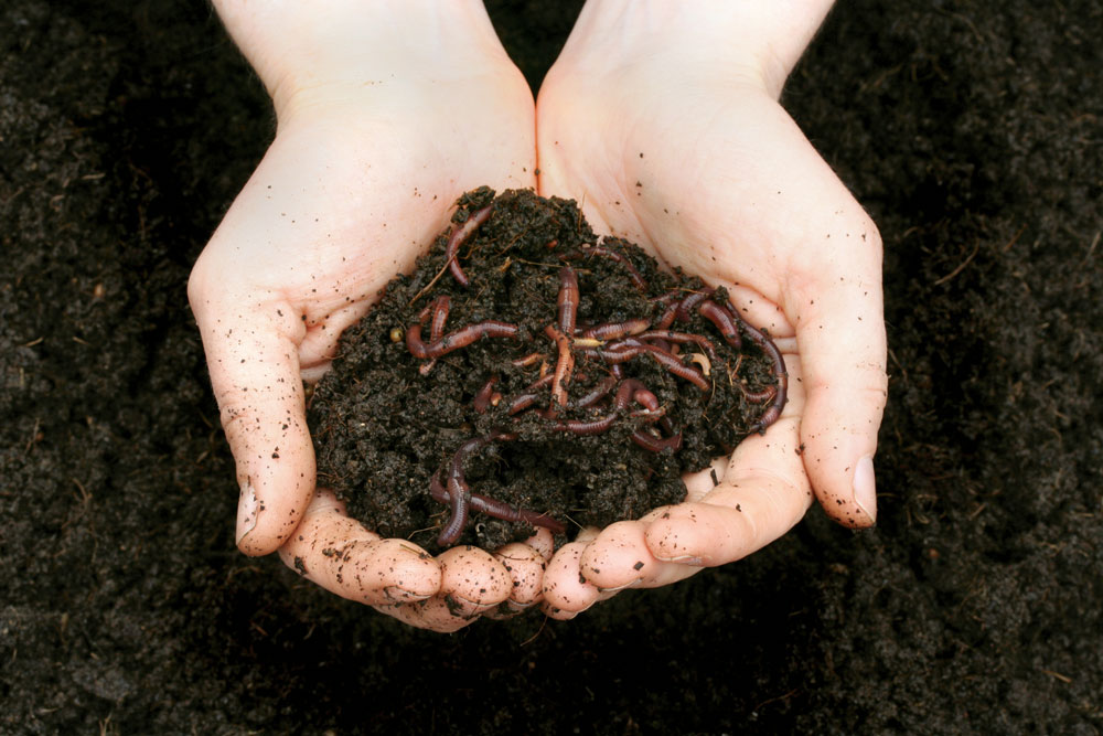 What tools make composting easier?