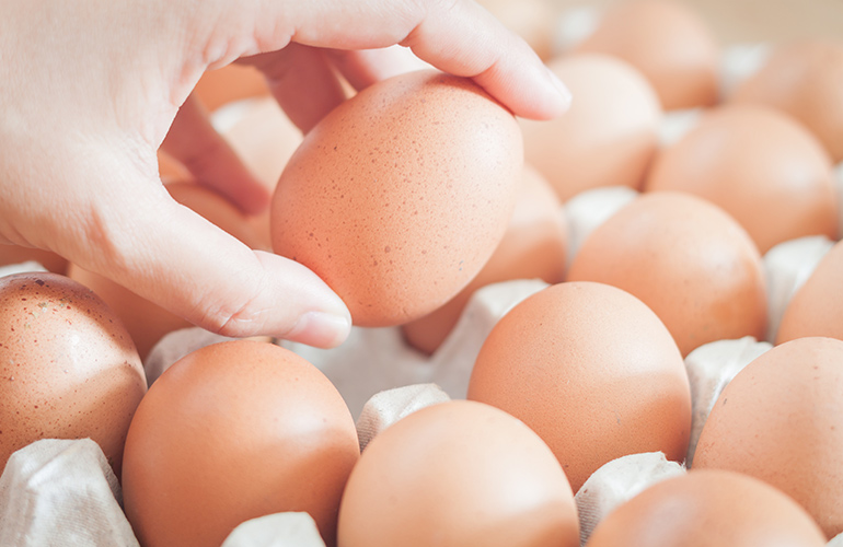 Zero waste uses for eggs, eggshells, and egg cartons