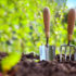 10 expert gardening tips for beginners